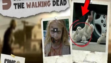 5 mistérios na série The Walking Dead 3
