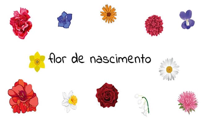 Você Sabe Qual é A Flor Do Seu Nascimento? - Tediado