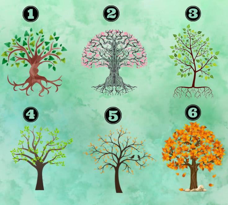 Escolha uma árvore e saiba qual é a emoção que rege a sua vida