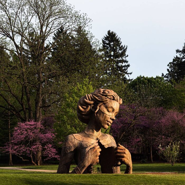 Daniel Popper: O artista que transforma a conexão humana com a natureza em arte monumental 14