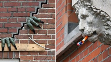 Frankey: O artista que transforma Amsterdã em um playground criativo (38 imagens) 43