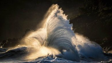 Ray Collins: O sussurrador das ondas que transformou a fotografia do oceano (28 fotos) 11