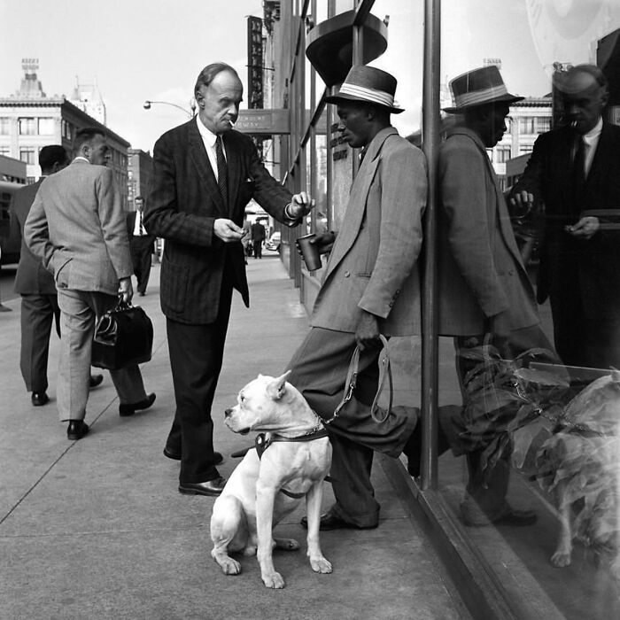 38 fotos que você não vai acreditar: A arte da fotografia de rua 29