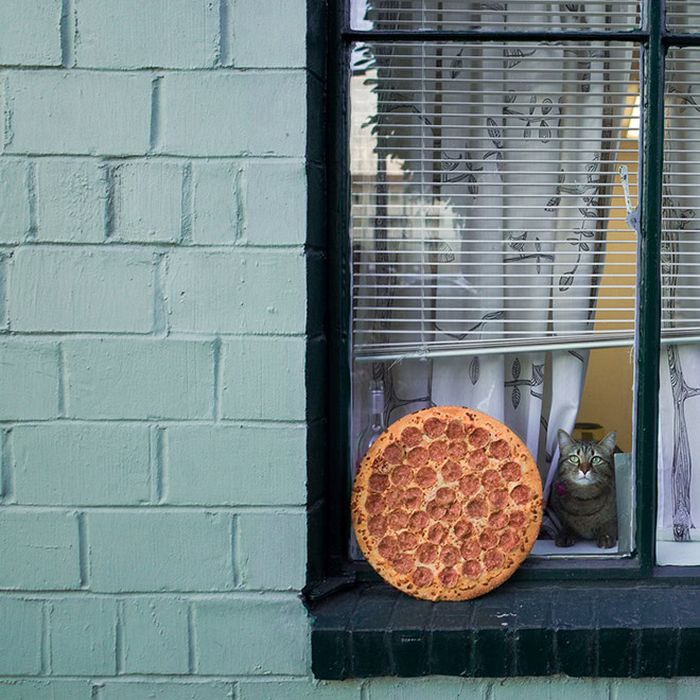 Homem lança pizzas na natureza e chama de arte. Isso é arte? 9