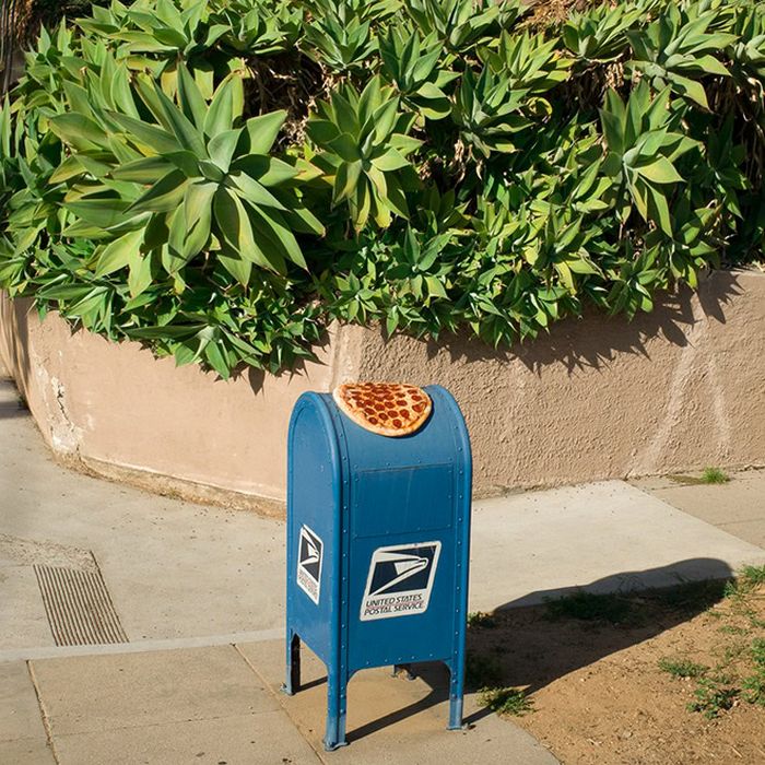 Homem lança pizzas na natureza e chama de arte. Isso é arte? 13