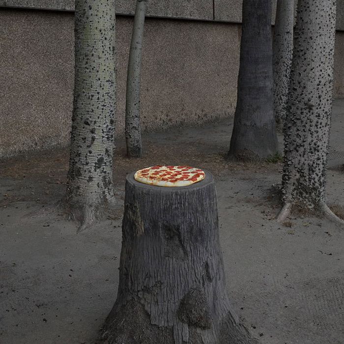 Homem lança pizzas na natureza e chama de arte. Isso é arte? 22