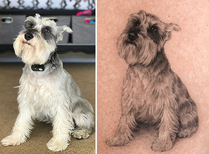 Tatuagens de Pets: A arte de Ria Kim e as histórias emocionantes por trás delas 2