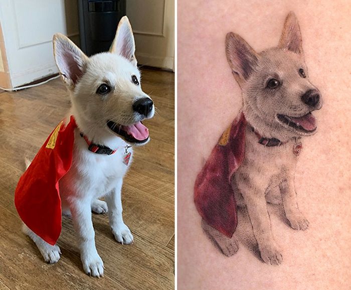 Tatuagens de Pets: A arte de Ria Kim e as histórias emocionantes por trás delas 3