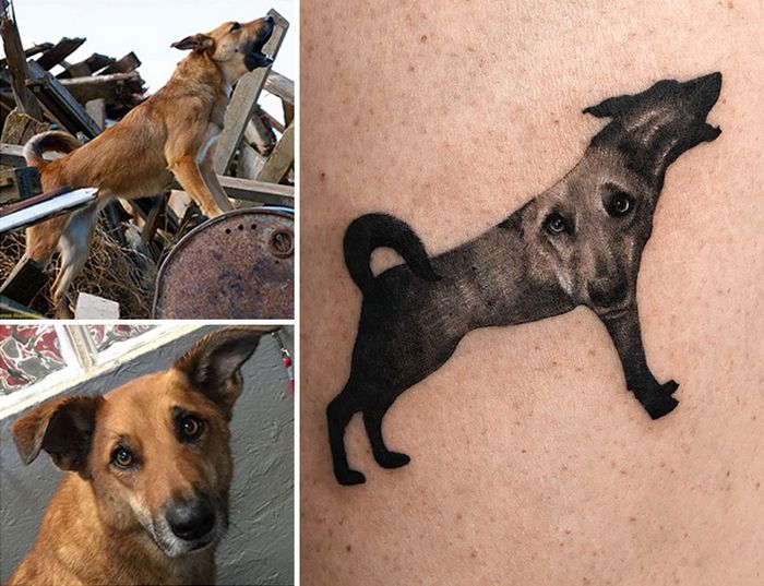 Tatuagens de Pets: A arte de Ria Kim e as histórias emocionantes por trás delas 4