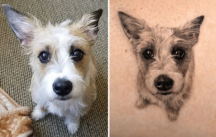 Tatuagens de Pets: A arte de Ria Kim e as histórias emocionantes por trás delas 5