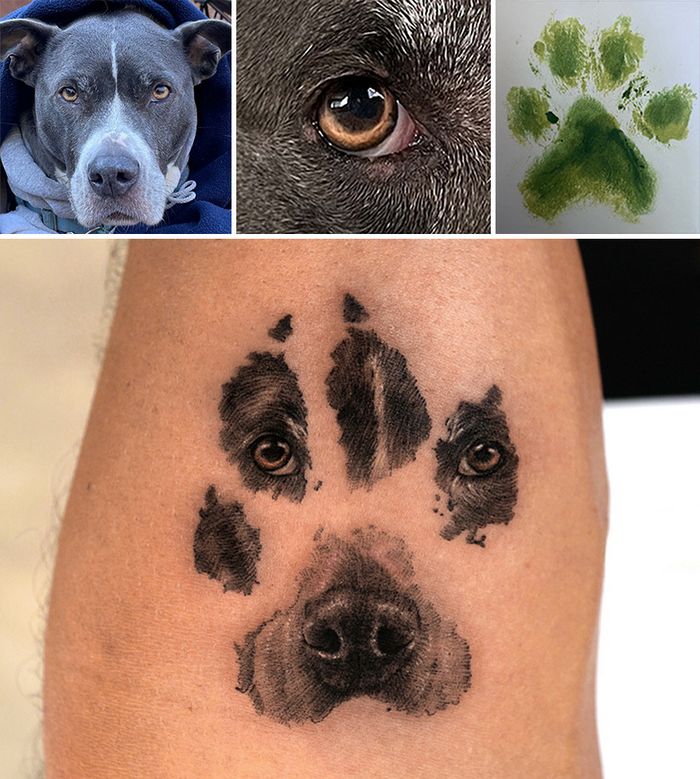 Tatuagens de Pets: A arte de Ria Kim e as histórias emocionantes por trás delas 6