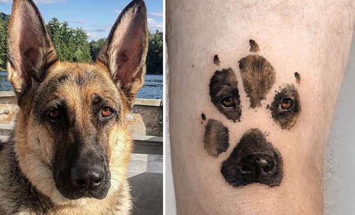 Tatuagens de Pets: A arte de Ria Kim e as histórias emocionantes por trás delas 7