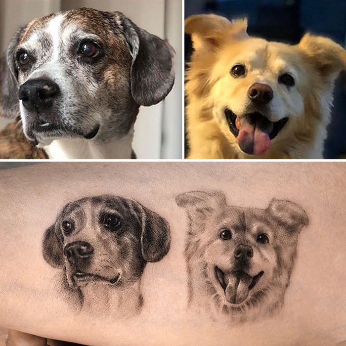 Tatuagens de Pets: A arte de Ria Kim e as histórias emocionantes por trás delas 8