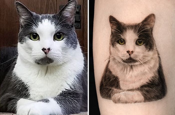 Tatuagens de Pets: A arte de Ria Kim e as histórias emocionantes por trás delas 9