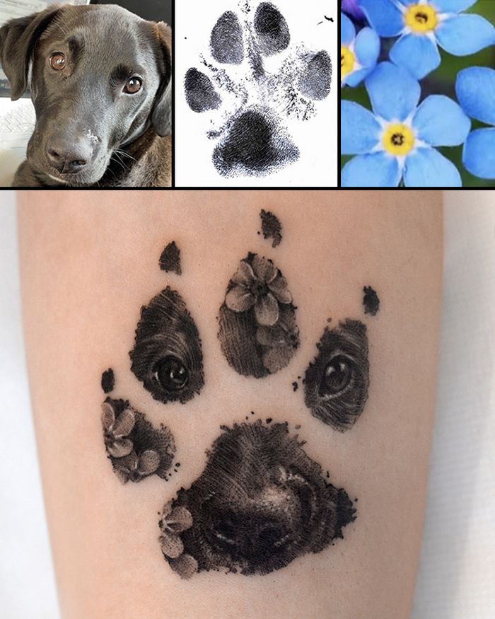 Tatuagens de Pets: A arte de Ria Kim e as histórias emocionantes por trás delas 10