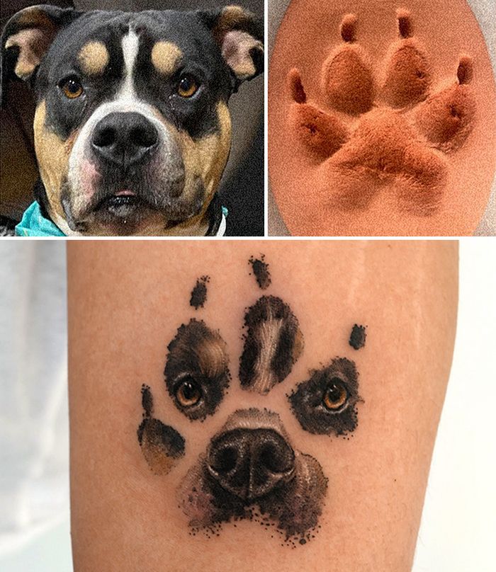 Tatuagens de Pets: A arte de Ria Kim e as histórias emocionantes por trás delas 11