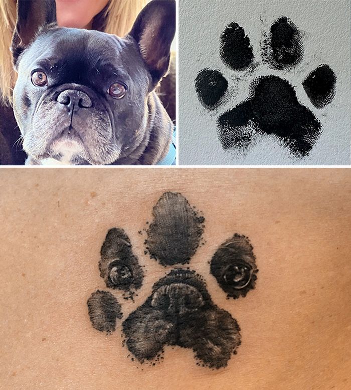 Tatuagens de Pets: A arte de Ria Kim e as histórias emocionantes por trás delas 13