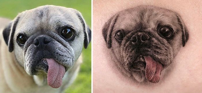 Tatuagens de Pets: A arte de Ria Kim e as histórias emocionantes por trás delas 14