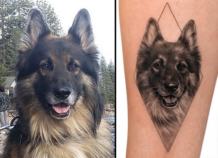 Tatuagens de Pets: A arte de Ria Kim e as histórias emocionantes por trás delas 15