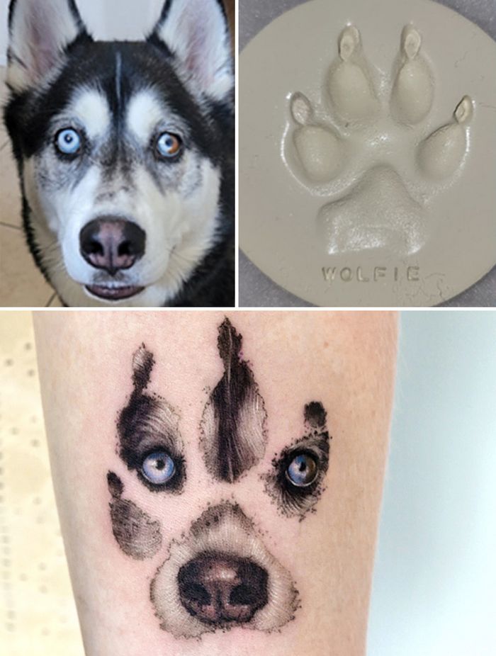 Tatuagens de Pets: A arte de Ria Kim e as histórias emocionantes por trás delas 16