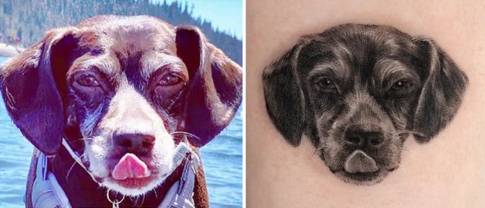 Tatuagens de Pets: A arte de Ria Kim e as histórias emocionantes por trás delas 17