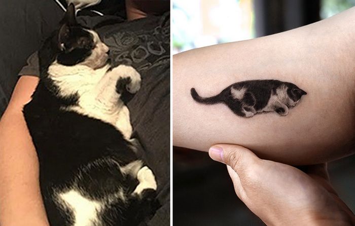 Tatuagens de Pets: A arte de Ria Kim e as histórias emocionantes por trás delas 18