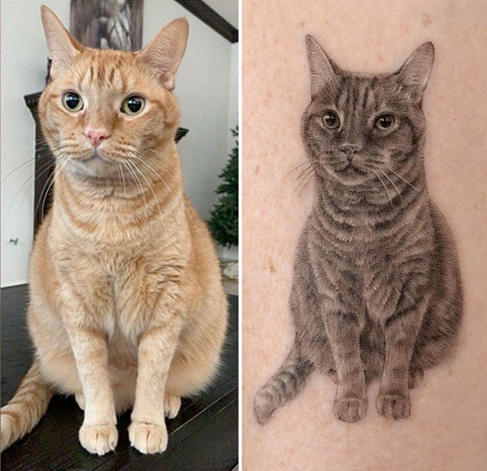 Tatuagens de Pets: A arte de Ria Kim e as histórias emocionantes por trás delas 19