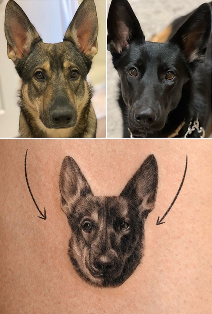 Tatuagens de Pets: A arte de Ria Kim e as histórias emocionantes por trás delas 20