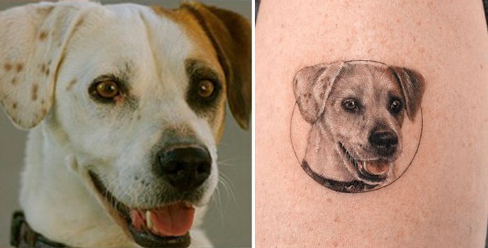 Tatuagens de Pets: A arte de Ria Kim e as histórias emocionantes por trás delas 22