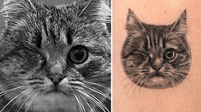 Tatuagens de Pets: A arte de Ria Kim e as histórias emocionantes por trás delas 24