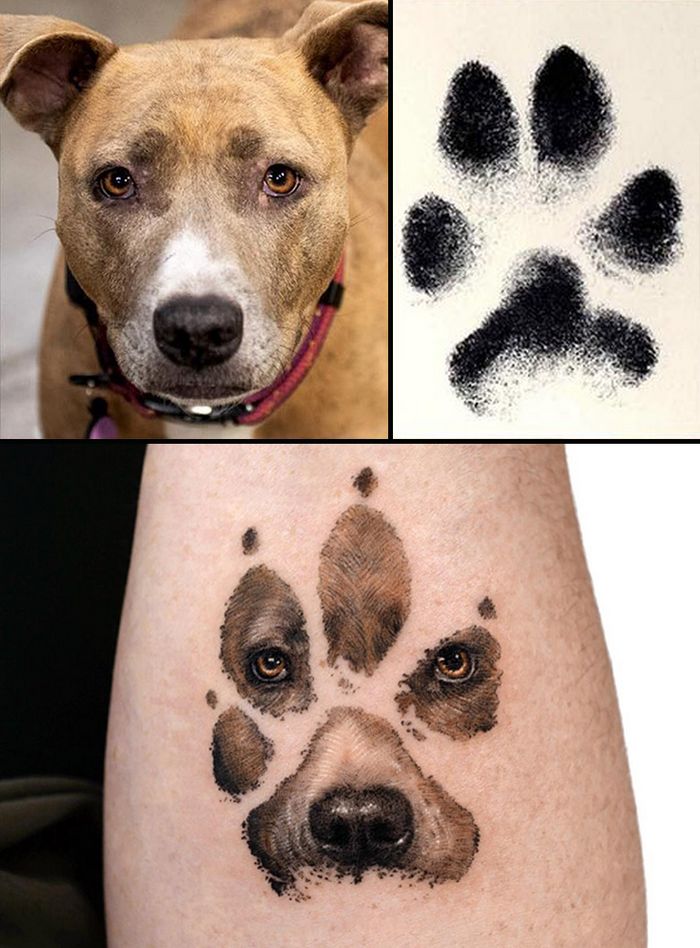 Tatuagens de Pets: A arte de Ria Kim e as histórias emocionantes por trás delas 25