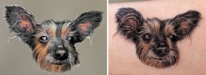 Tatuagens de Pets: A arte de Ria Kim e as histórias emocionantes por trás delas 26