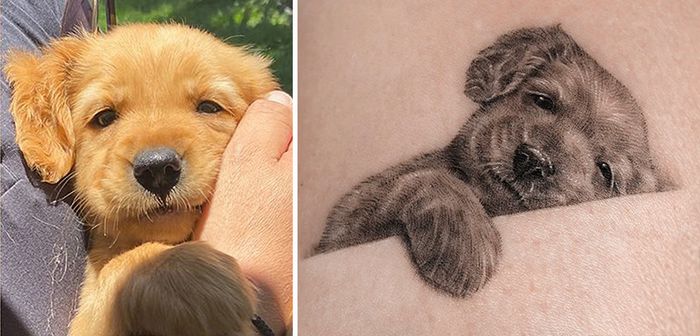 Tatuagens de Pets: A arte de Ria Kim e as histórias emocionantes por trás delas 28