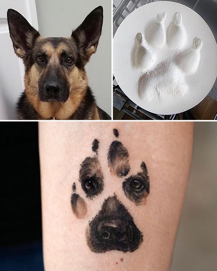 Tatuagens de Pets: A arte de Ria Kim e as histórias emocionantes por trás delas 29