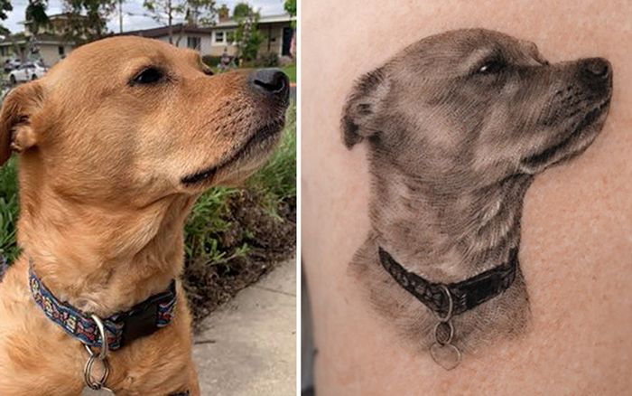 Tatuagens de Pets: A arte de Ria Kim e as histórias emocionantes por trás delas 30