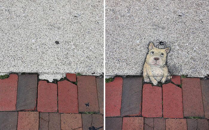 A magia da arte de rua de David Zinn: Criaturas fantásticas que ganham vida (35 fotos) 7