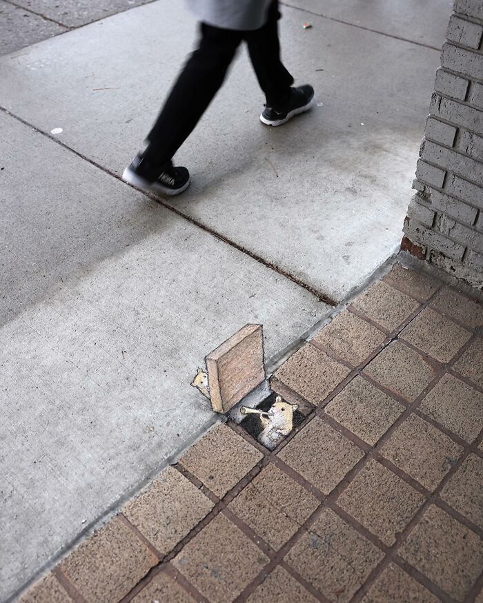 A magia da arte de rua de David Zinn: Criaturas fantásticas que ganham vida (35 fotos) 35