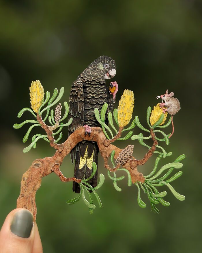 A fascinante coleção de 32 papagaios em miniatura feita à mão por Nayan Shrimali 25