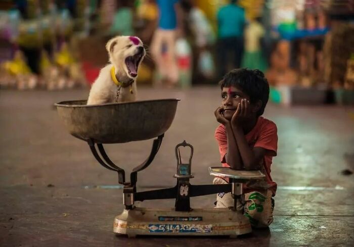 A magia da infância através das lentes de Guru Charan (25 fotos) 22