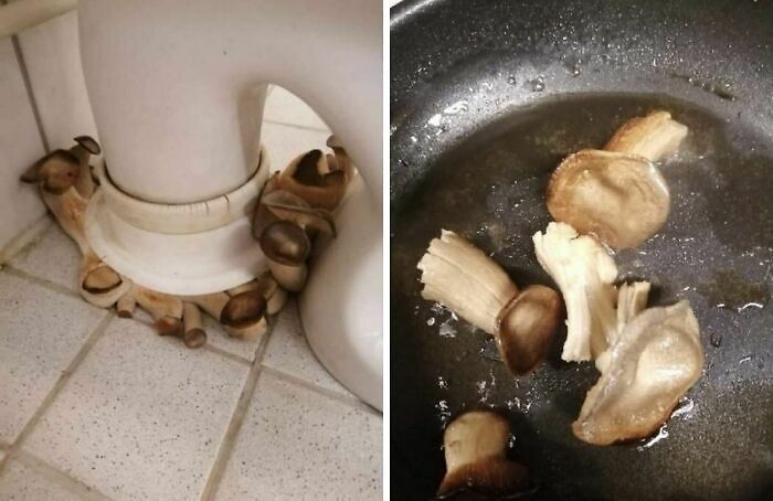 Inovações culinárias ou pesadelos na cozinha? Descubra os pratos mais estranhos (42 fotos) 10