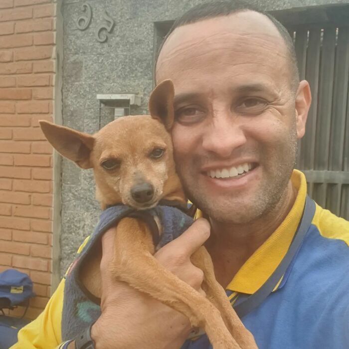 Antunes: O carteiro que está transformando cães em seus melhores amigos (32 fotos) 3