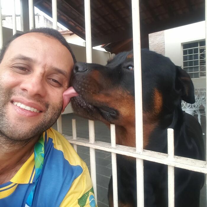 Antunes: O carteiro que está transformando cães em seus melhores amigos (32 fotos) 7