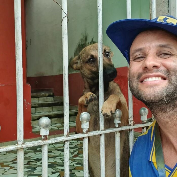 Antunes: O carteiro que está transformando cães em seus melhores amigos (32 fotos) 13