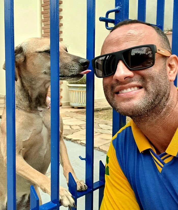 Antunes: O carteiro que está transformando cães em seus melhores amigos (32 fotos) 14