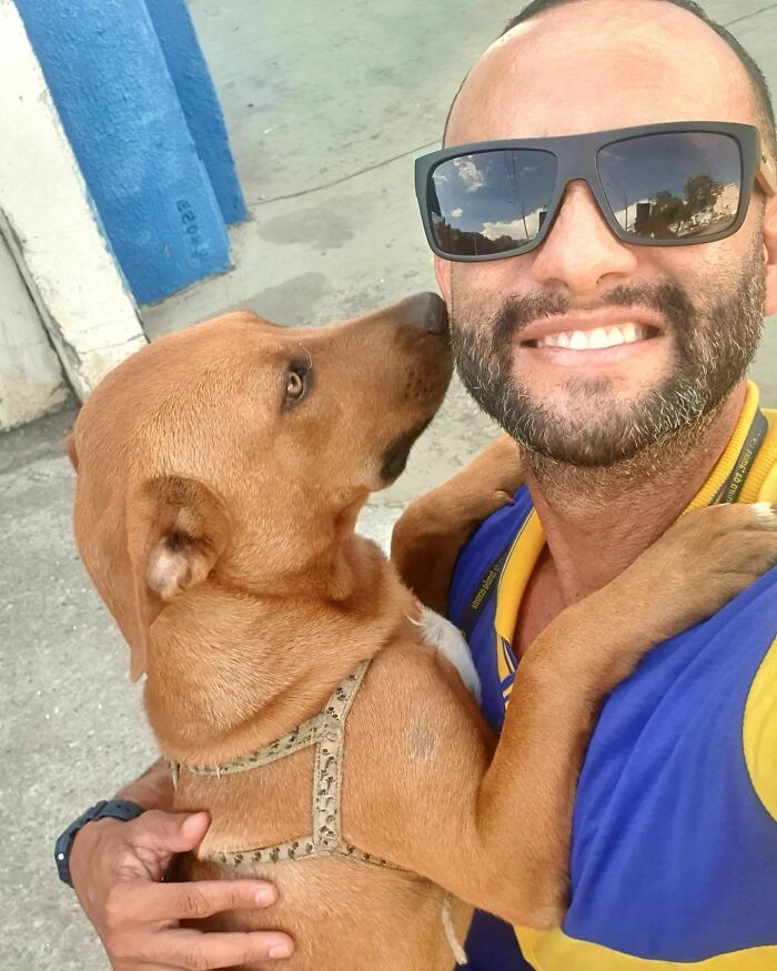 Antunes: O carteiro que está transformando cães em seus melhores amigos (32 fotos) 16