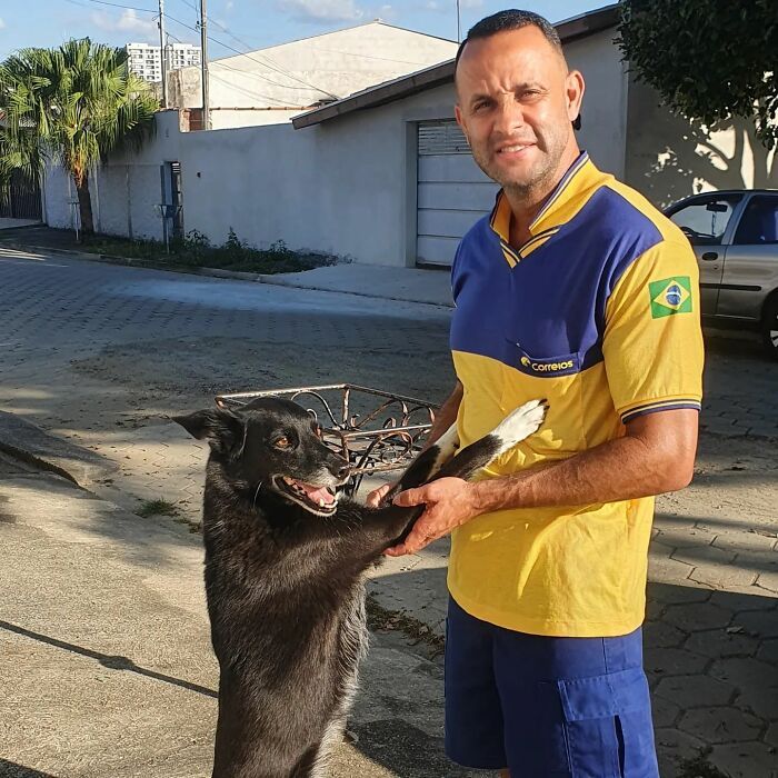 Antunes: O carteiro que está transformando cães em seus melhores amigos (32 fotos) 23