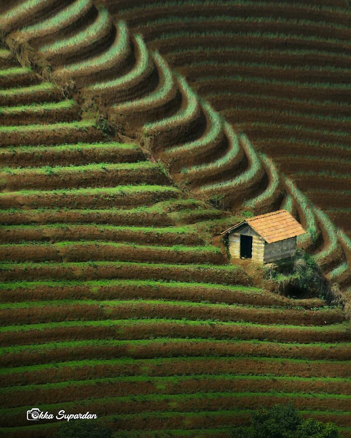 Explore a Indonésia pelos olhos do fotógrafo Okka Supardan ( 34 fotos) 15