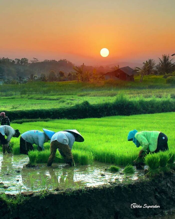 Explore a Indonésia pelos olhos do fotógrafo Okka Supardan ( 34 fotos) 17