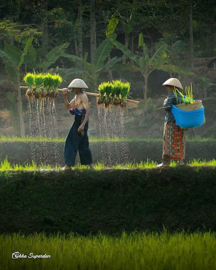 Explore a Indonésia pelos olhos do fotógrafo Okka Supardan ( 34 fotos) 23