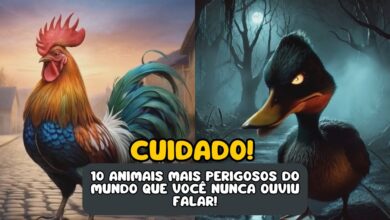 10 animais mais perigosos do mundo que você nunca ouviu falar! 5